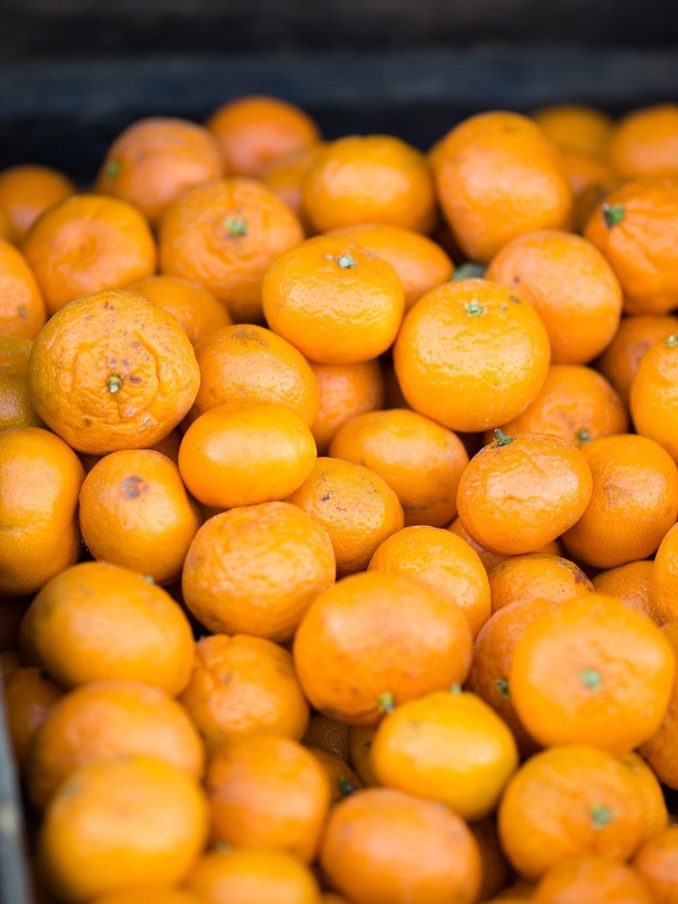 Oranges at the Sebel Residence Chatswood