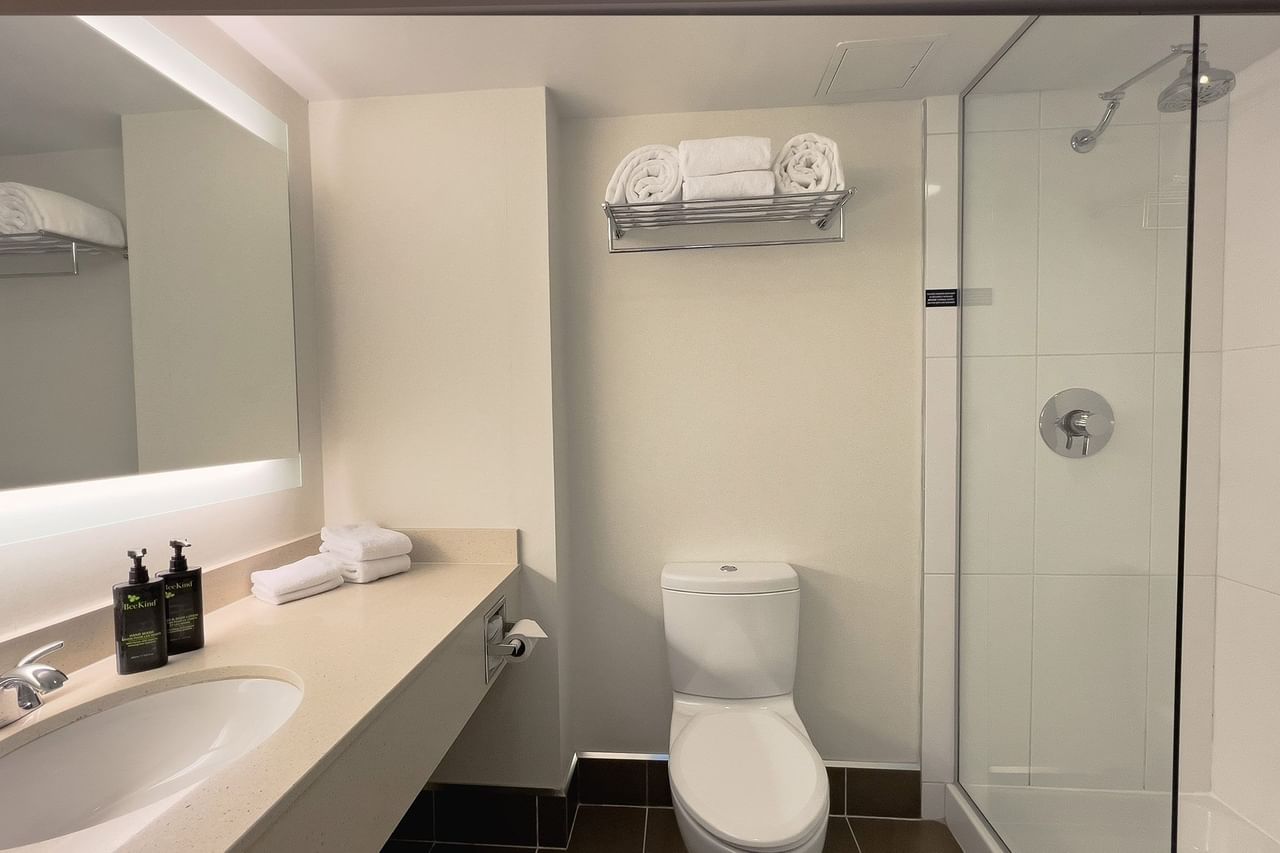 Hotel washroom with sink, toilet and shower