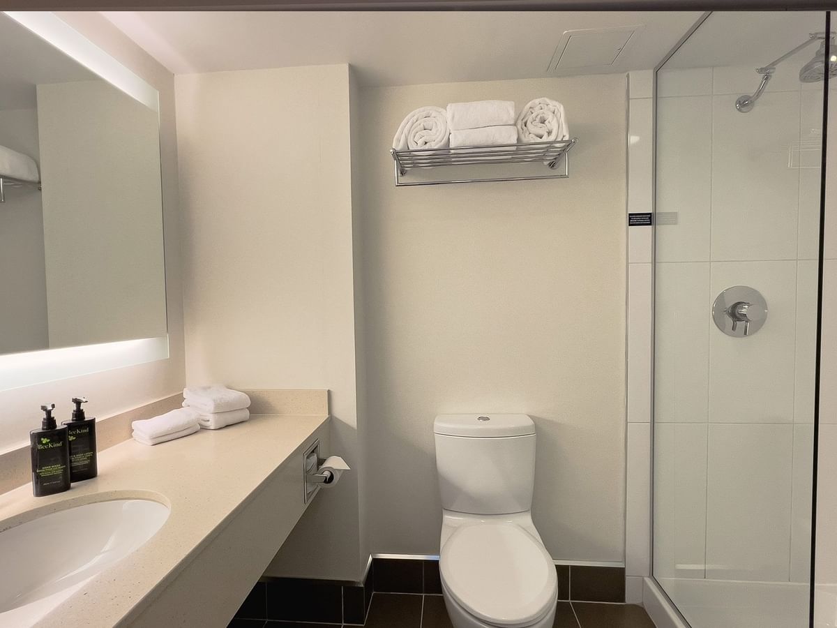 Hotel guestroom washroom with sink, toilet and shower
