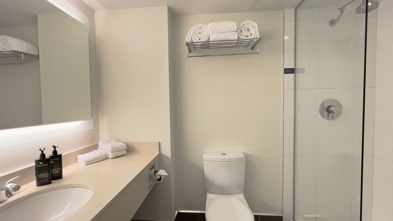 Hotel guestroom washroom with sink, toilet and shower