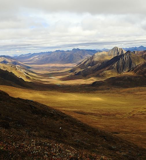 Tombstone Territorial Park near Coast Hotels Downtown