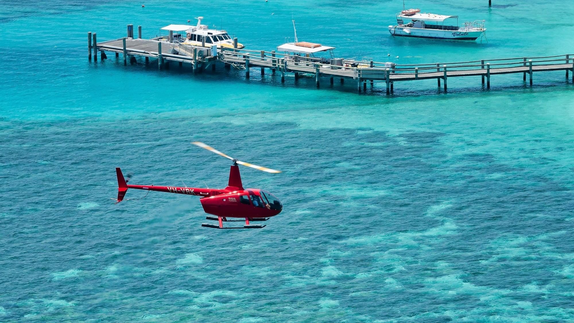 Heron Island Resort Blog Posts