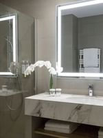 Bathroom interior with shower area, vanity, and illuminated mirror in the Premium Suite at Warwick Reine Astrid - Lyon