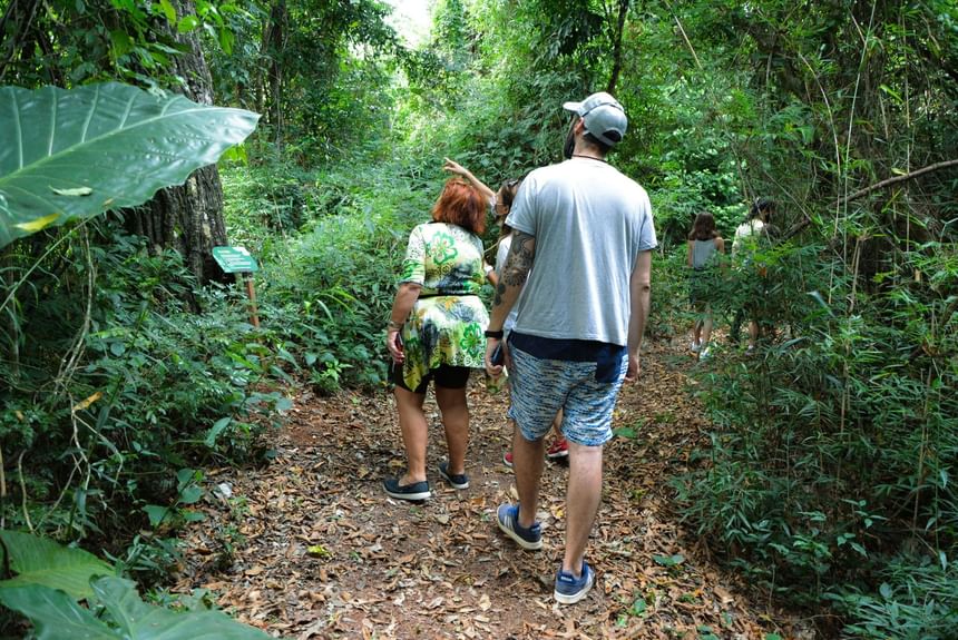 actividades de selva en hotel en iguazu