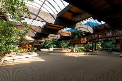 Trees & plants with a retractable roof & lounge in The Courtyard at M Hotel Buffalo