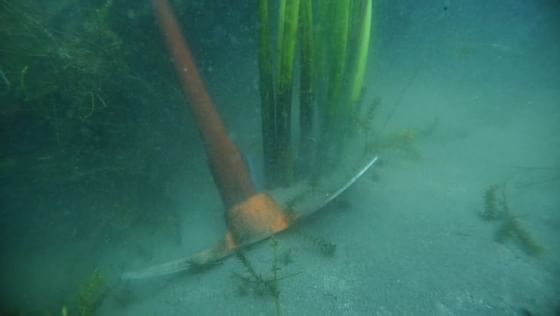 Tulle Planting underwater at Porta Hotel del Lago
