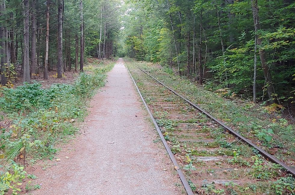 Hit The Trails | The Wolfeboro Inn - Linchris