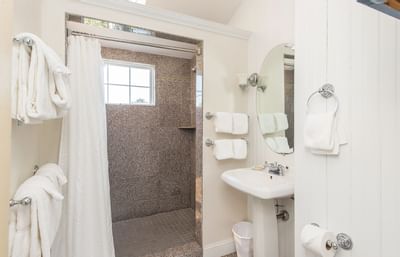 Cottage bathroom interior