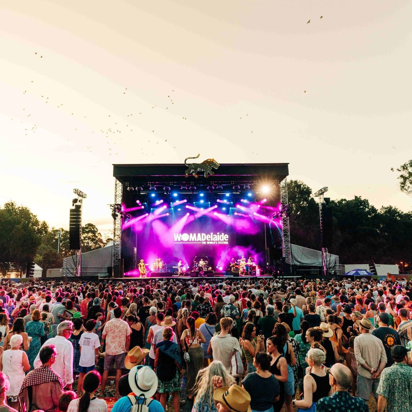Large crowd at WOMADelaide festival with performers on stage under colorful lights.