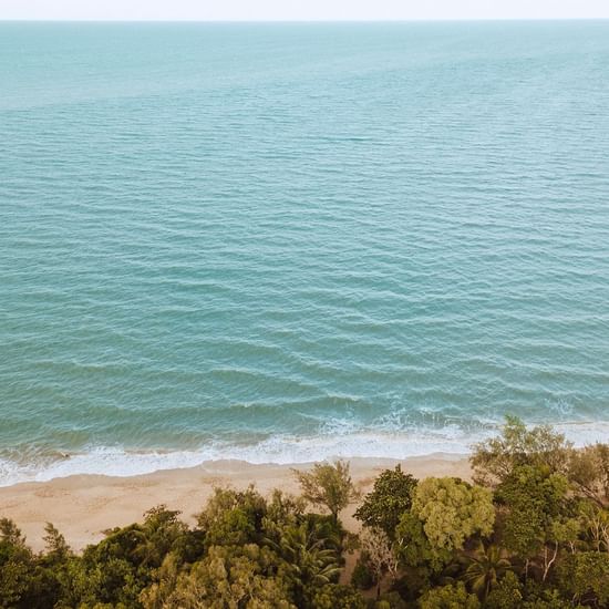 Aerial view near Pullman Palm Cove Sea Temple Resort & Spa