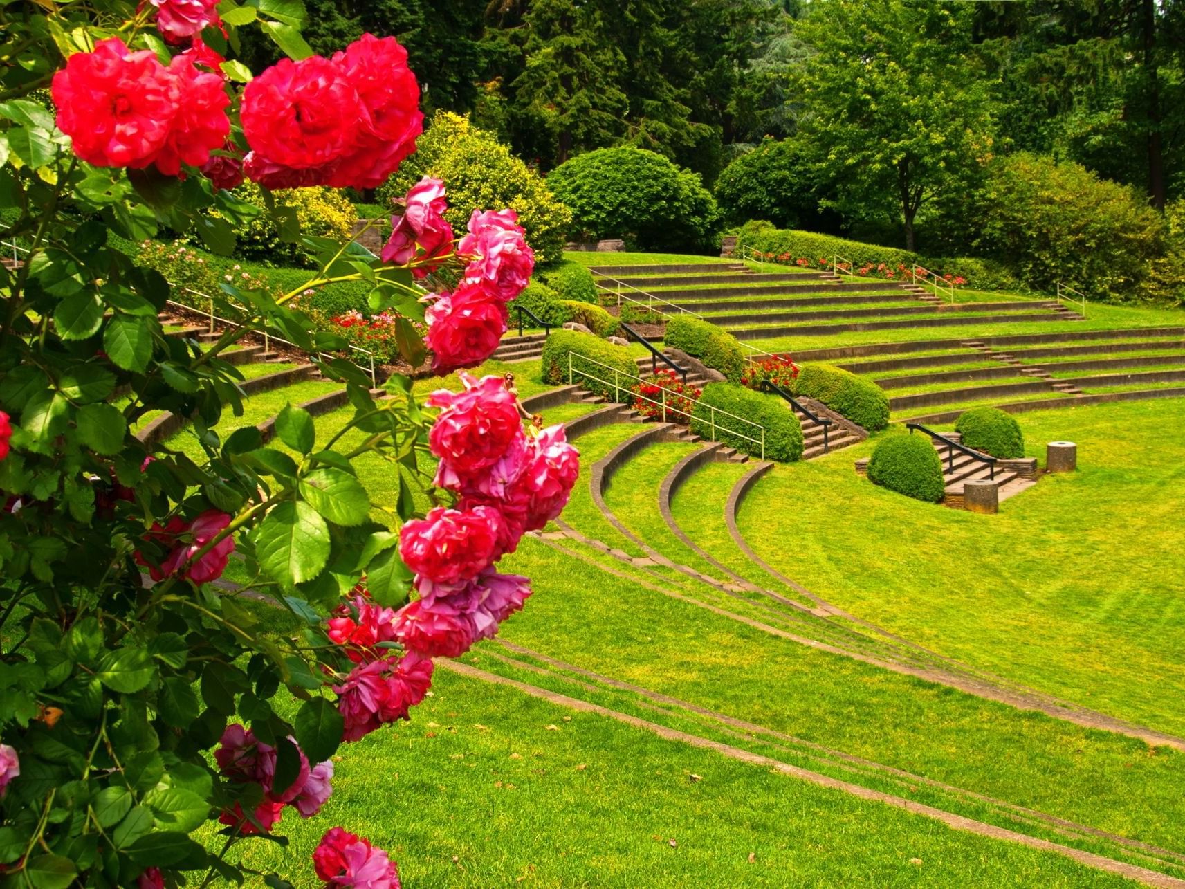 Portland Rose Gardens