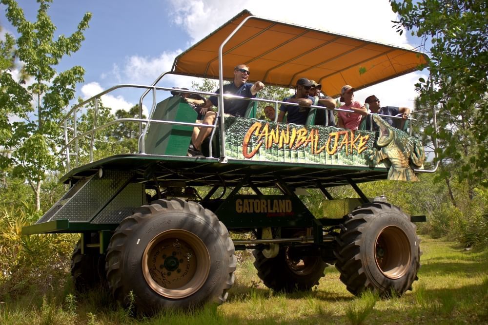 A large buggy with a sign that reads Cannibal Jake in the midst of a wooded area, with a guide pointing out something out of frame to a buggy of passengers.