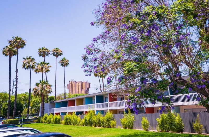 A colorful two-story building with a white balcony and multicolor facade, surrounded by palm trees, grass, and a tree with purple flowers.