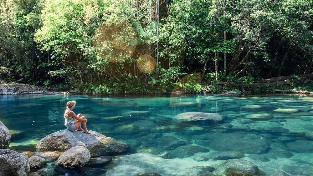 Mossman Gorge near Pullman Palm Cove Sea Temple Resort & Spa