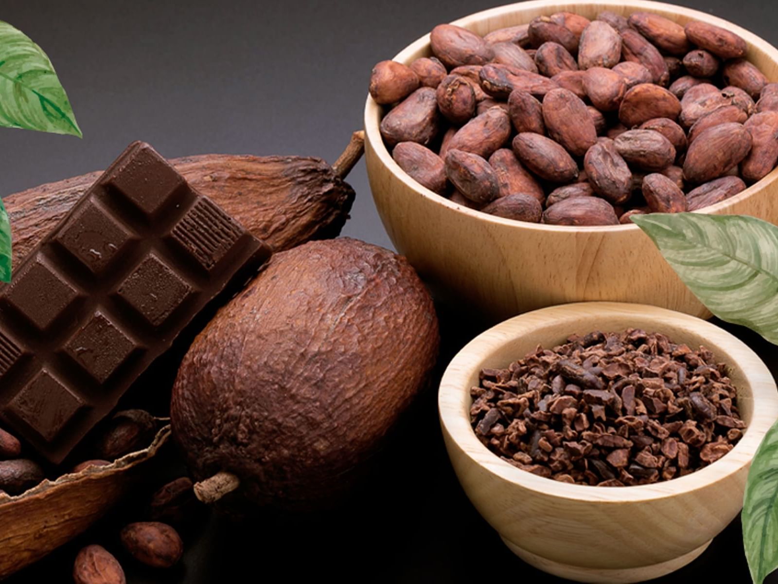 Close up of various forms of cocoa and chocolate near Gamma Hotels
