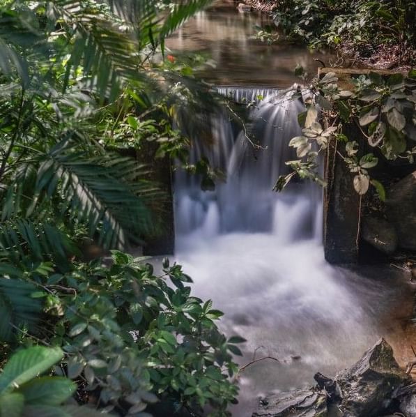 Cascada de aguas termales rodeada de vegetación tropical y rocas volcánicas en el Rincón de la Vieja