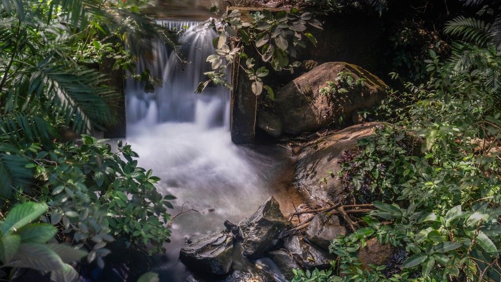 Cascada de aguas termales rodeada de vegetación tropical y rocas volcánicas en el Rincón de la Vieja