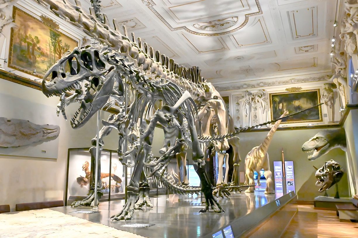 Dinosauriersaal im Naturhistorischen Museum Wien mit großem Tyrannosaurus Rex Skelett und weiteren prähistorischen Ausstellungsstücken in prunkvoller Umgebung.