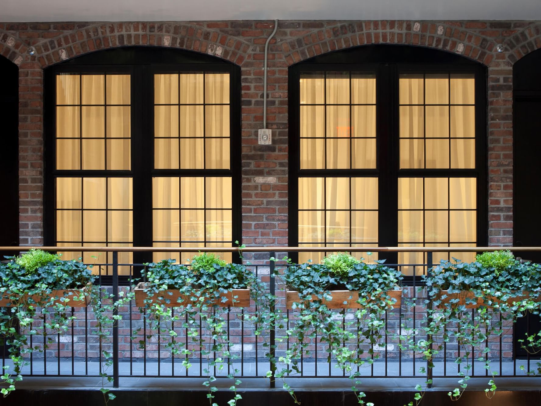 Green ivy in boxes by a black railing under arched brick windows, surrounding a patio at The Broome Hotel
