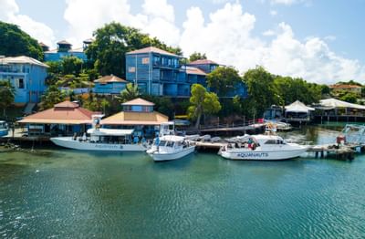 Boats Stationed by the dive shop at True Blue Bay Hotel
