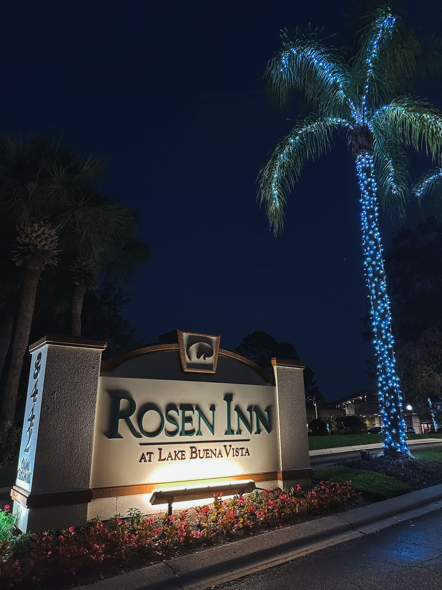 The Rosen Inn at Lake Buena Vista sign beside a palm tree lit with Christmas lights at night. 