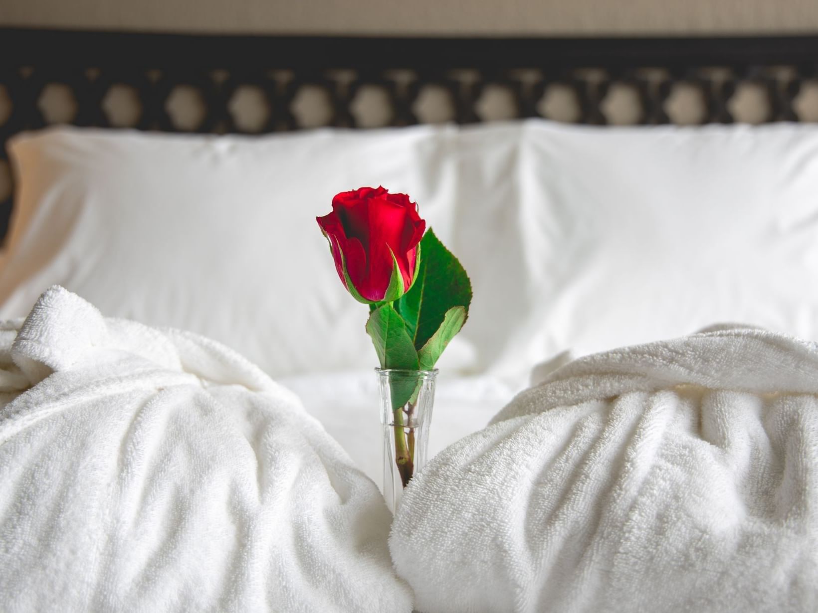 a rose in a vase on a hotel bed