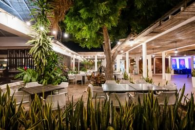 Panama Canal Buffet dining area at Playa Blanca Beach Resort
