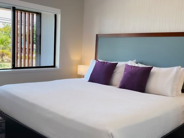 Guest room with king bed, purple cushions, lamp and window with sunny ocean view