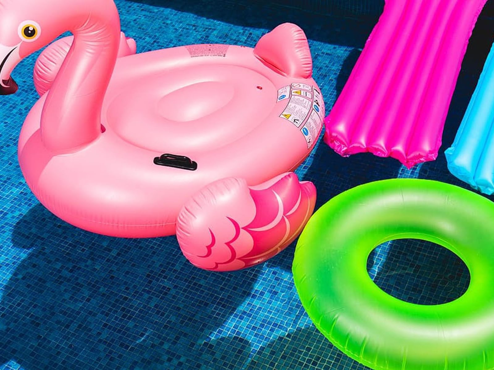 flamingo & circular floats in the pool at The Inn of Waterloo