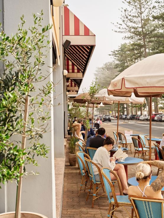 Cibaria Caffetteria & Gelateria at Elysium Manly with guests by blue chairs surrounding a walkway near coastal trees