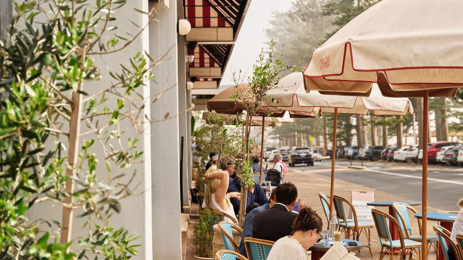 Guest reading at a table with chairs under umbrellas near Elysium Manly, surrounded by green potted plants in a cafe