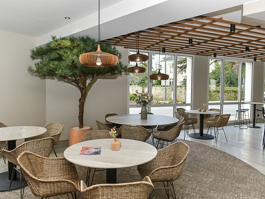 Salon avec tables et chaises en osier, arbre et plantes au Hôtel Rivella.