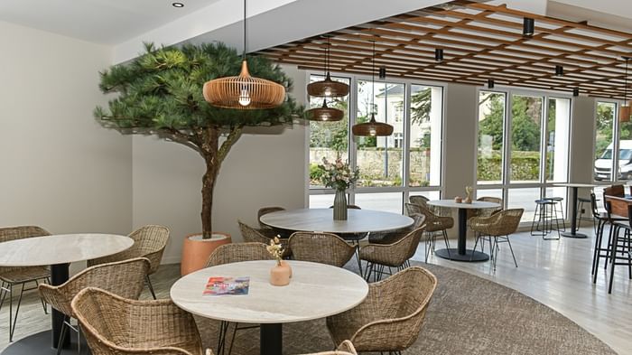 Salon avec tables et chaises en osier, arbre et plantes au Hôtel Rivella.