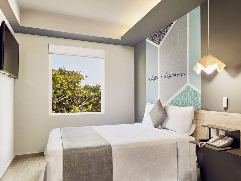 Interior de la habitación Superior One Queen en One Hotels