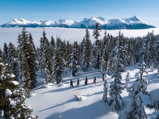 People going on a snowshoe tour in forest near Adara Hotel