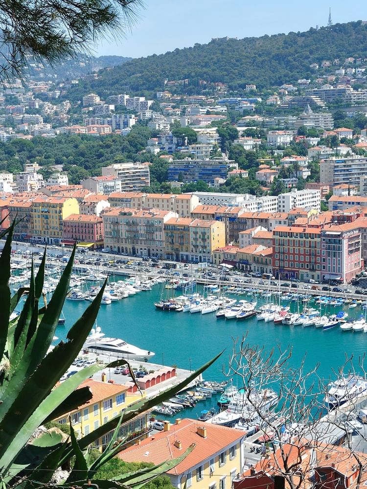 Blue bay with many white boats by colorful buildings, under a lush green hillnear Warwick Hotels & Resort