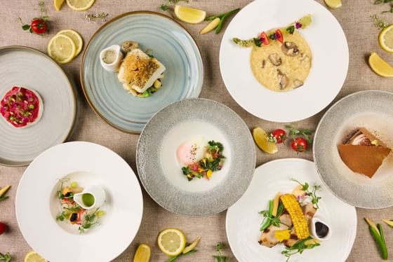 Top-down view of plated gourmet dishes scattered with herbs on linen at Tablescape Restaurant in Grand Park City Hall