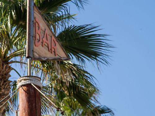 Close-up of a rustic wooden bar sign surrounded by palm leaves in Tortugas restaurant at Hacienda del Mar Los Cabos