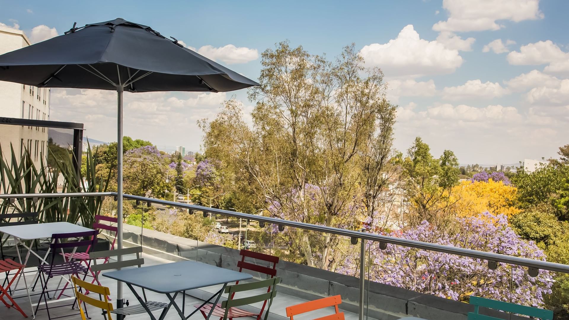 Gallery one Guadalajara Expo