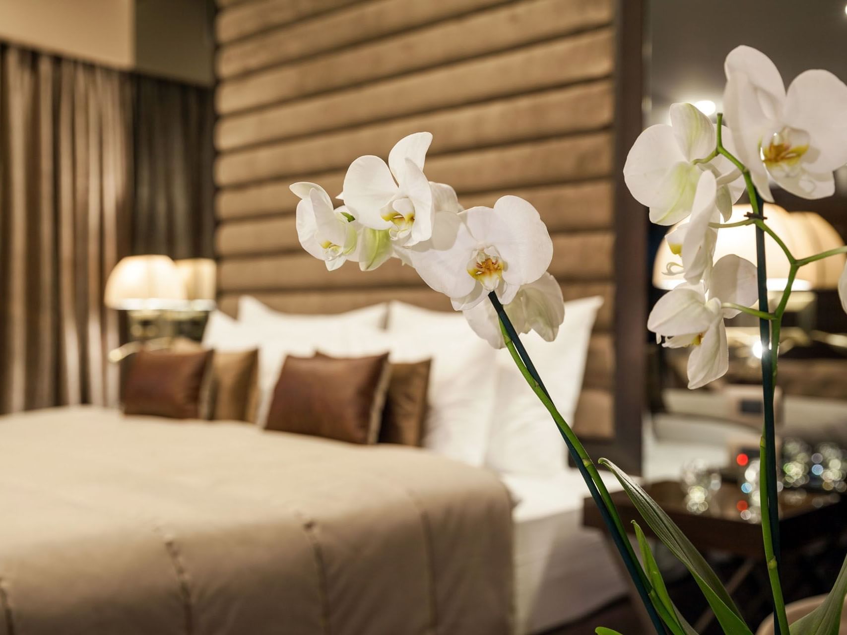 Overnight Stay Offer at Saint Ten Hotel in Belgrade