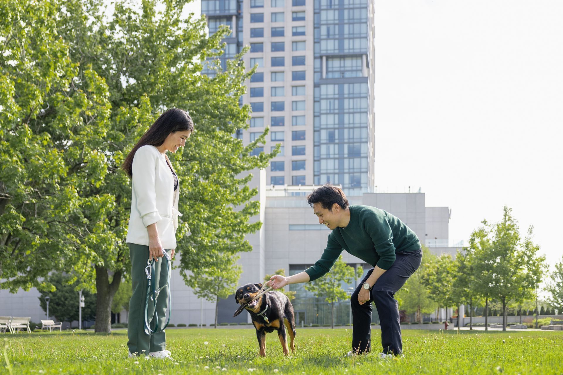 Couple playing with Rottweiler on green lawn beside modern high-rise tower facing lush trees at Hotel X Toronto