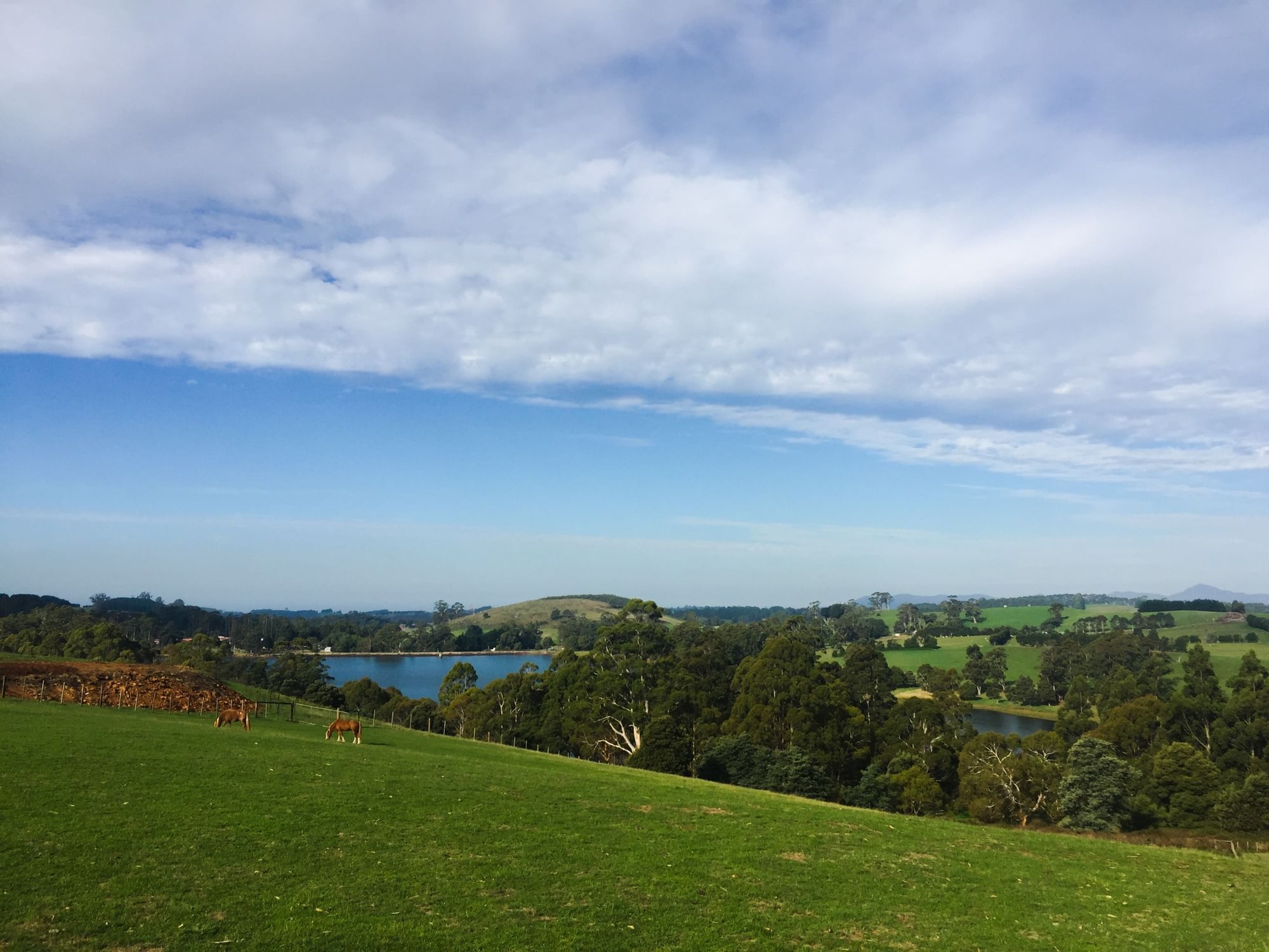 Landscape view of trees & the lake near Strahan Village Hotel