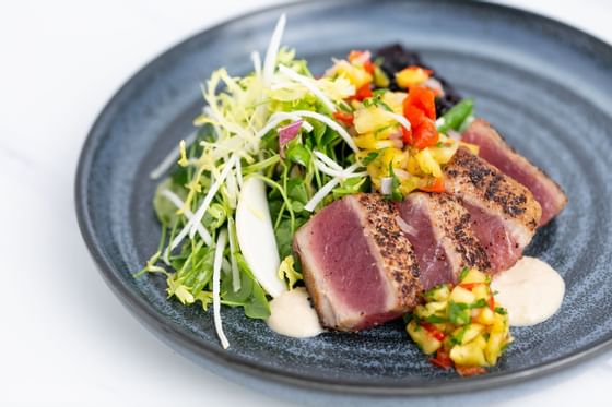 A plate of Seared tuna with salad served at Stein Eriksen Lodge