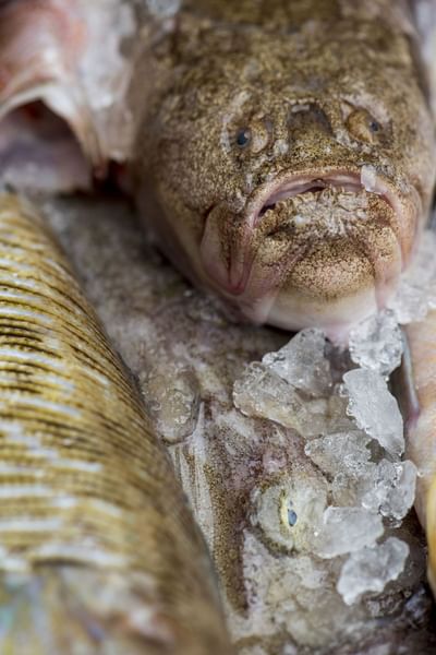 fresh fish restaurant porto venere