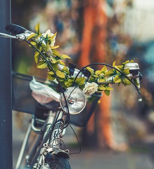 Bicycle with headlight and flowers wrapped around handle bars