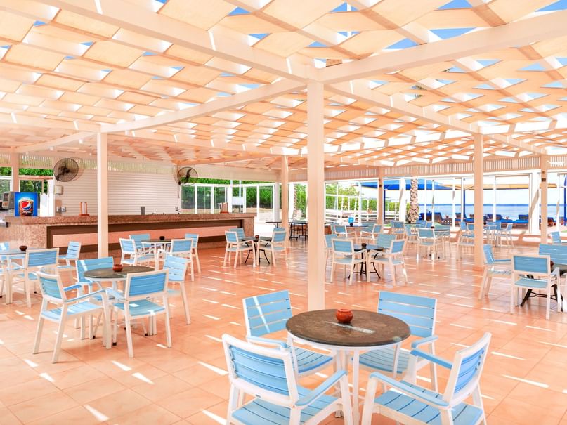 Beach Bar at Pickalbatros Royal Moderna Resort in Sharm El Sheikh
