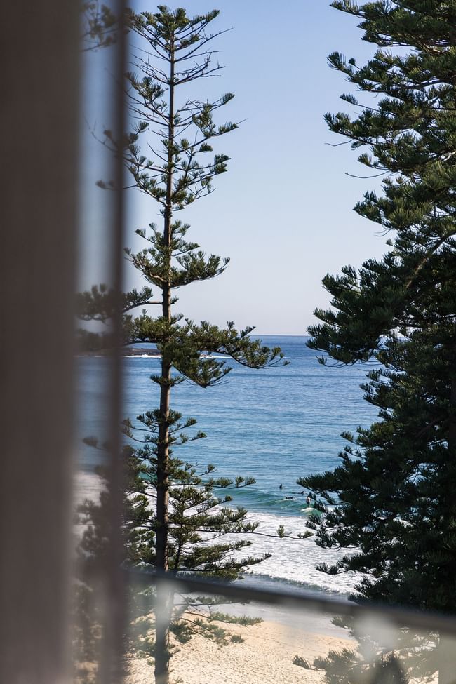 Elysium Manly coastal view looking past tall pine trees to reveal a sandy beach with surfers in the rolling waves