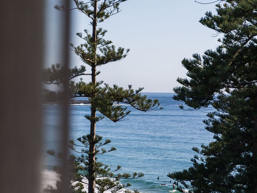 Blue ocean view with surfers in the water, framed by tall pine trees near Elysium Manly, an elite hotel in Manly