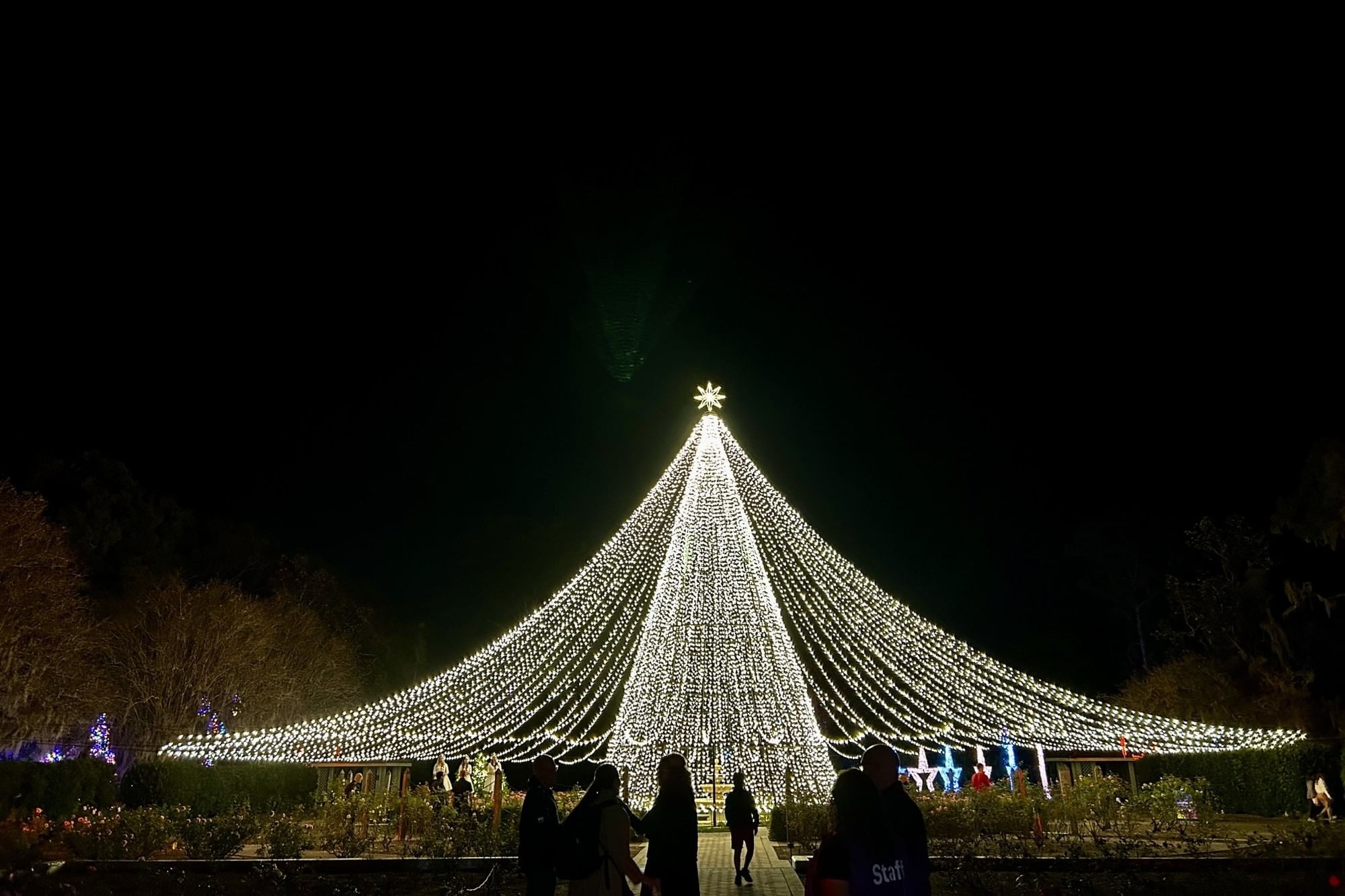A large Christmas tree made entirely of draped Christmas lights at Dazzling Nights, a holiday event at Leu Gardens in Orlando.