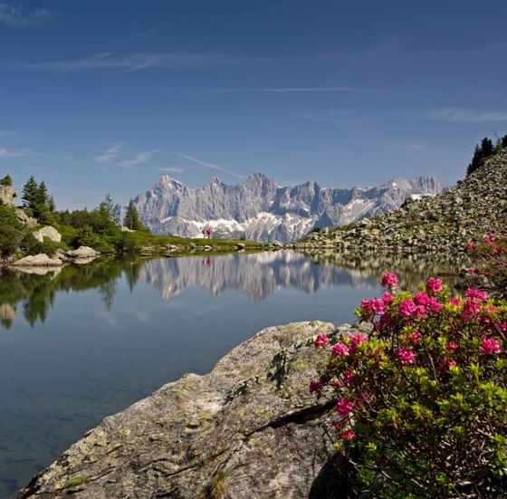 Wandern rund um das Schloss Pichlarn